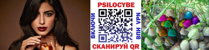 Купить где  Алзамай  Галлюциногенные грибы Psilocybe 