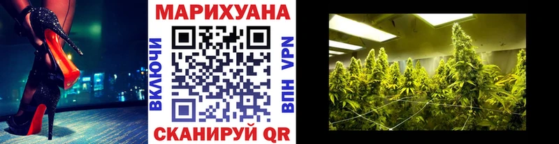 Купить где  Алзамай  Конопля марихуана 